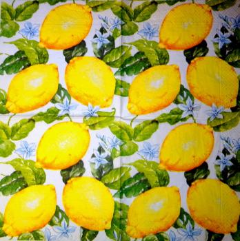 111 Lemons,  Oranges - 3-ply